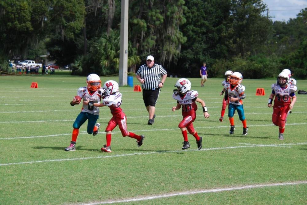 Montgomery Dolphins - Youth Football and Cheer, Youth Sports