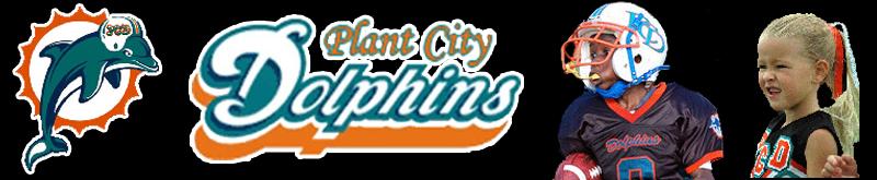 Plant City Dolphins Youth Football / Cheerleading | City of Plant City